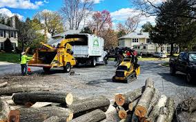 Walls, MS Tree Care Company