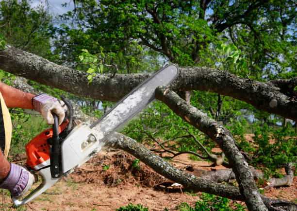 Mulching Services in Walls, MS